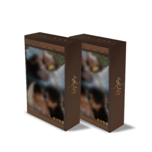 New Free Shipping Ayden & Elio Exclusive Double Helix 2026 Official Lingering Thoughts Series LOMO Photo Card Pack Blind Box |